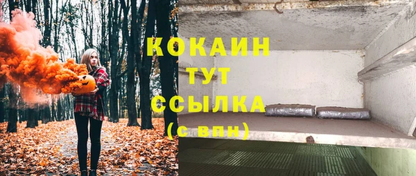 бошки Алексин