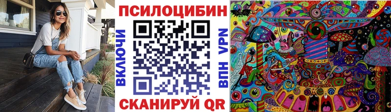 Галлюциногенные грибы Psilocybe  Шебекино 