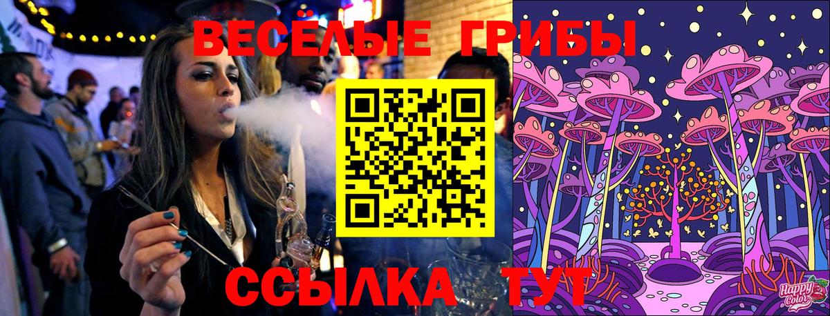 Шебекино  Галлюциногенные грибы Psilocybine cubensis  Вход с VPN 