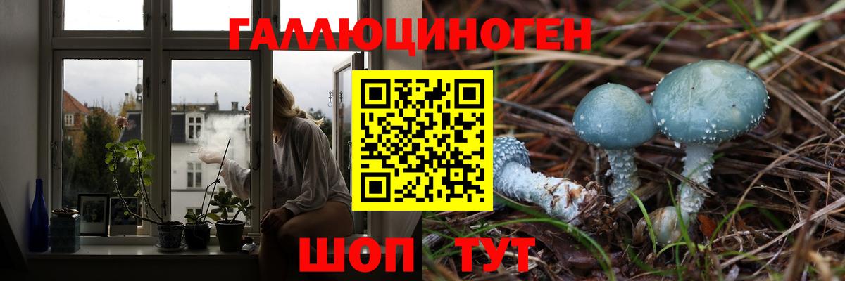 Псилоцибиновые грибы Cubensis Шебекино