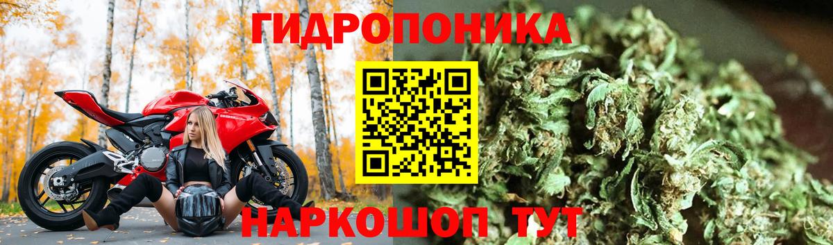Бошки Шишки план  Марихуана LSD WEED  Марихуана семена  Шебекино  Вход с VPN  Шишки марихуана планчик 